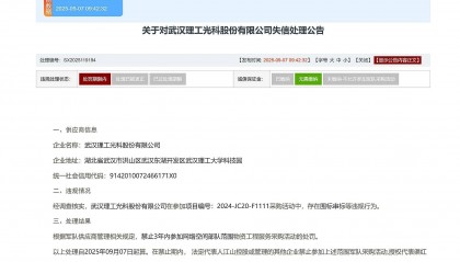 围标串标，武汉理工光科被禁止3年内参加网络空间部队采购