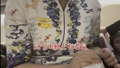 飞机上出现老鼠?海航长安航空最新回应