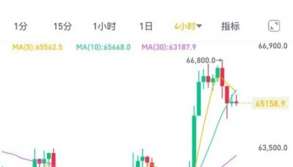 一周涨幅近1000%!特朗普与“散户之王”联手带飞meme币