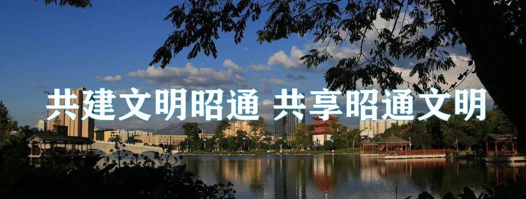 昭通展馆登上央视《新闻联播》《新闻直播间》