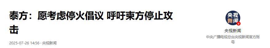 泰国敢死队猛攻茄子山高地，顶着柬埔寨炮击，48小时冲锋拿下阵地