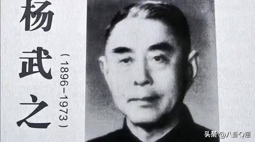 不查不知道,一查吓一跳!杨振宁的弟弟杨振汉,人生活的这么精彩